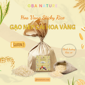 GẠO NẾP CÁI HOA VÀNG GBA NATURE